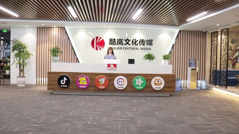 二维动画以平面图形为基础，通过动画软件进行制作。其特点如下：