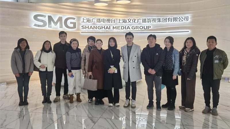 mg动画手绘风制作：揭秘创意视觉呈现的秘密**